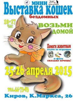 Кировчан приглашают на выставку бездомных кошек