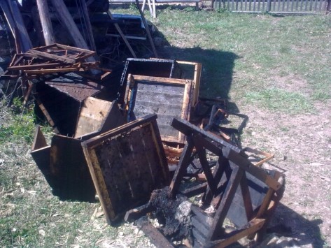 В Яранском районе Кировской области сгорели ульи с пчелами