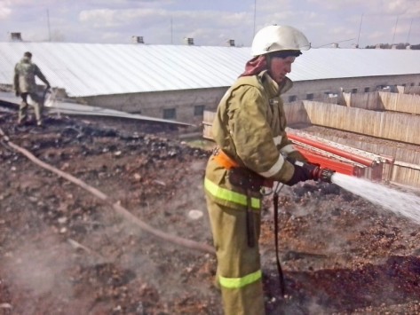 В Куменском районе Кировской области добровольцы спасли из огня работницу и 400 телят