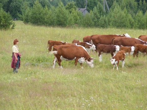 В Кировской области осуждённые разводят гусей и пекут хлеб