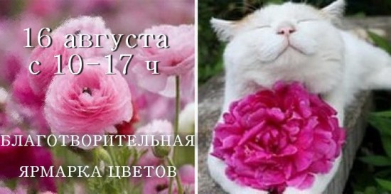 Благотворительная ярмарка цветов в Кирове