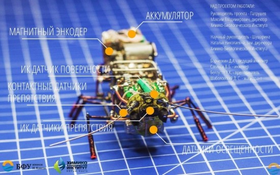 Российским учёным удалось создать робота-таракана