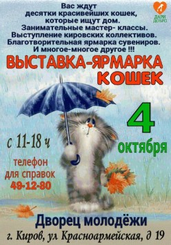 В Кирове 4 октября пройдет выставка бездомных кошек