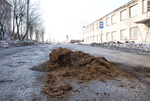 В Слободском дорожные ямы засыпали навозом