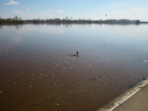 За сутки уровень воды в реке Вятке в черте Кирова понизился на 2 см