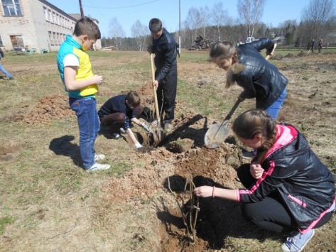 В начале мая школьники Кировской области вместе со своими педагогами, родителями и ветеранами заложили на вятской земле новые «Сады Победы»