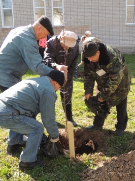 В начале мая школьники Кировской области вместе со своими педагогами, родителями и ветеранами заложили на вятской земле новые «Сады Победы»