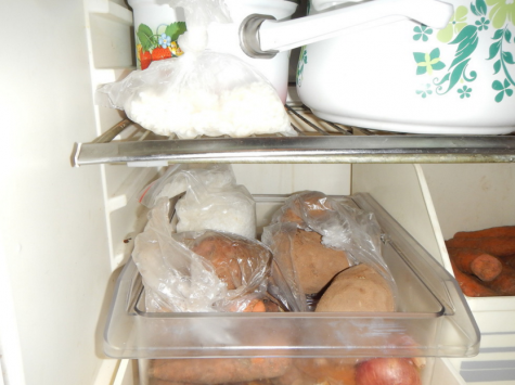Сотрудники УФСБ нашли в холодильнике кировчанки полкило наркотиков