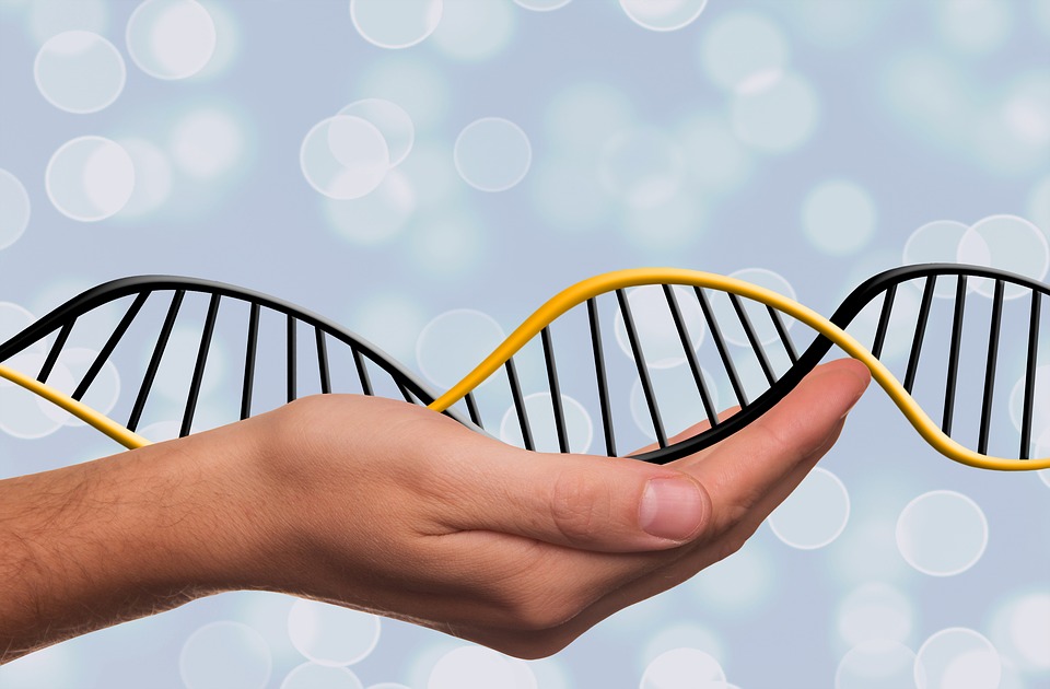 Учёные могут в скором времени определять черты лица по ДНК