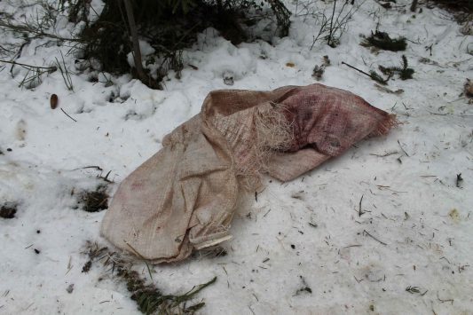 Под Кировом активисты обнаружили пятую свалку с останками животных