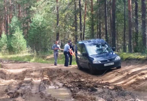 В Кировской области сотрудники ГИБДД оказали помощь автоледи