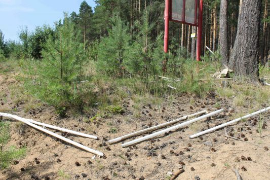 В лесу под Кировом нашли свалку с опасными отходами‍