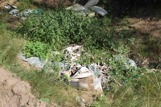 В пригороде Кирова обнаружили две новые свалки с останками животных