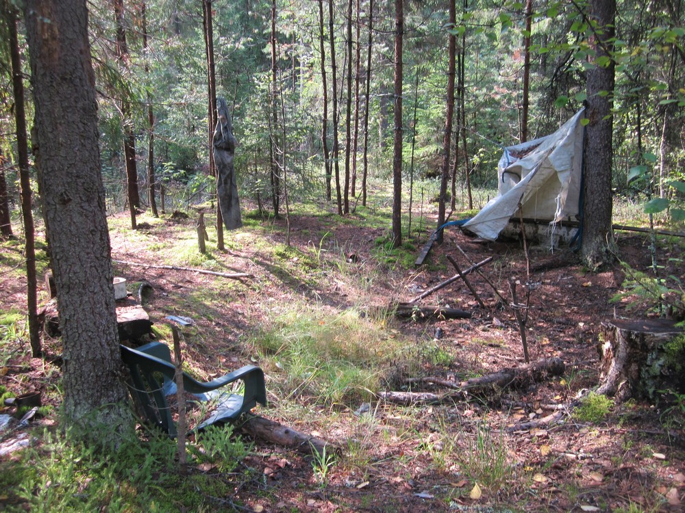 Нашли в лесу спящего. Аварийная ночёвка в лесу. Школа выживания большая Медведица Лесной.