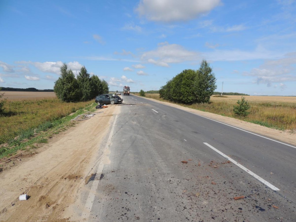 Смертельное ДТП в Лебяжском районе Кировской области