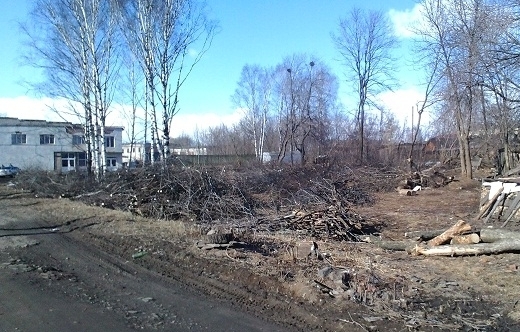 вырубают парк в Кировской области