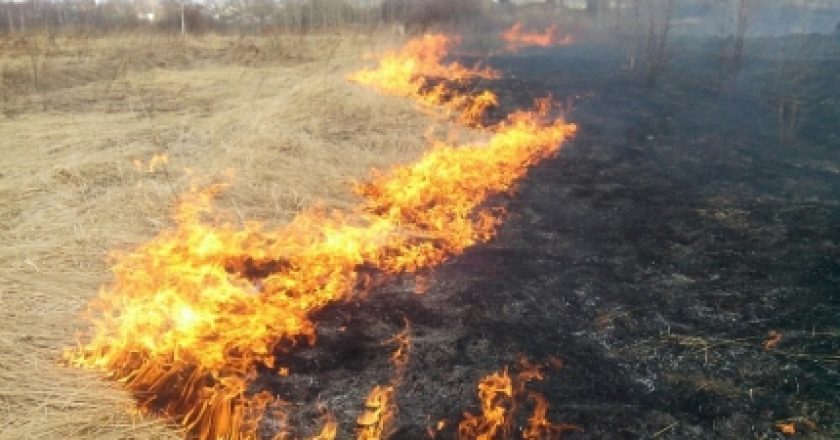 В ЭТИ ВЫХОДНЫЕ ОГНЕБОРЦЫ Кировской области ПЯТЬ РАЗ ВЫЕЗЖАЛИ НА ТУШЕНИЕ ГОРЯЩЕЙ ТРАВЫ