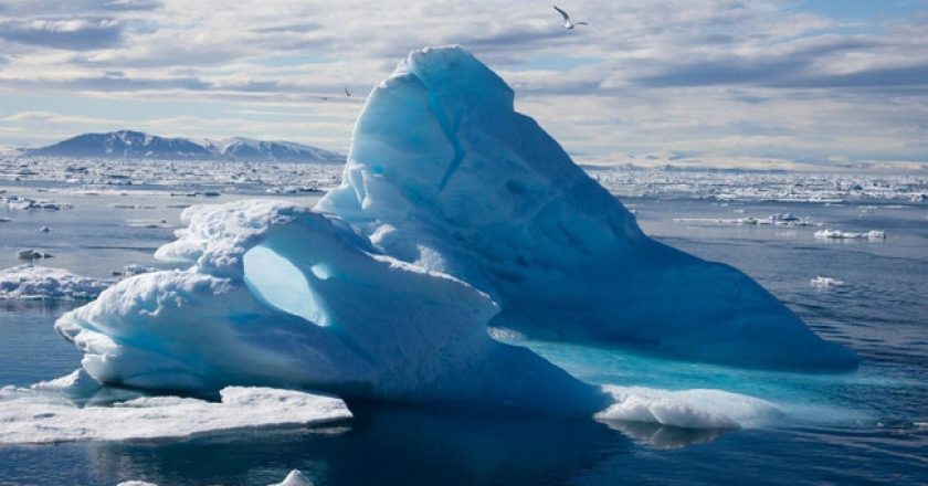 Ученые: глобальное потепление уничтожит 97% обитателей Арктики