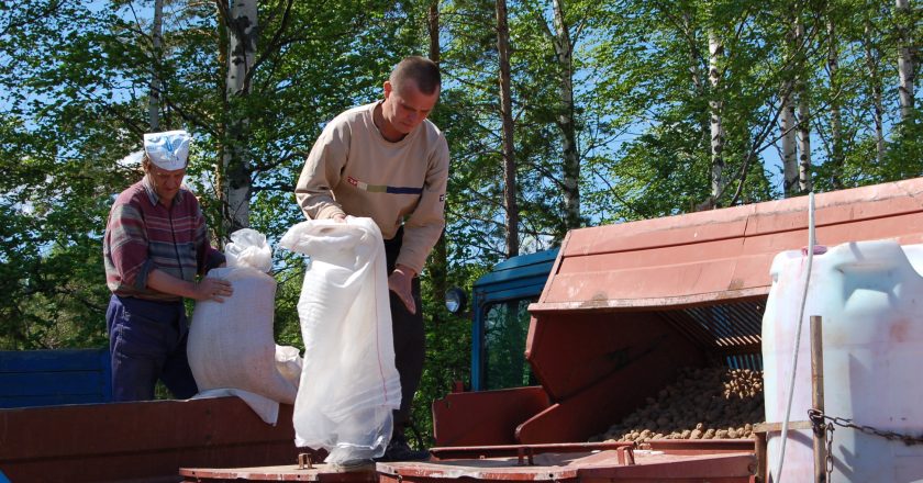 В Кировской области осуждённые разводят гусей и пекут хлеб