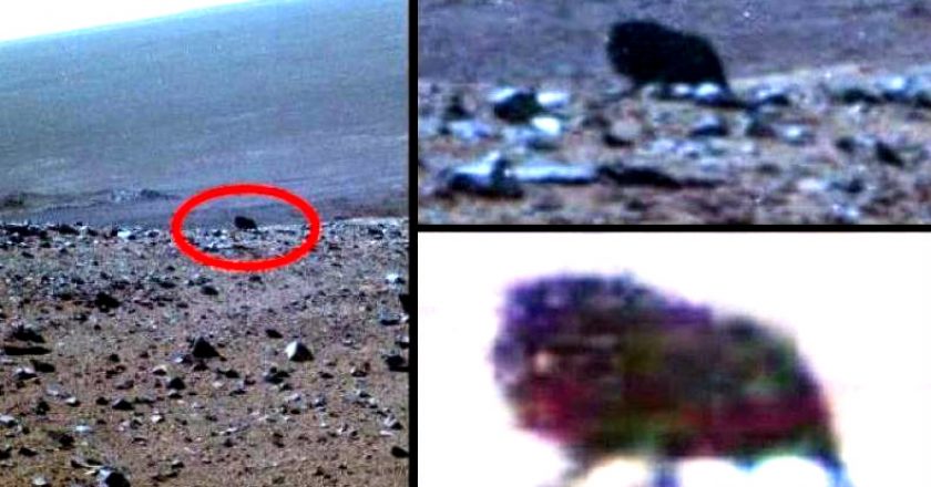 14:46 Opportunity зафиксировал загадочное существо на поверхности Марса