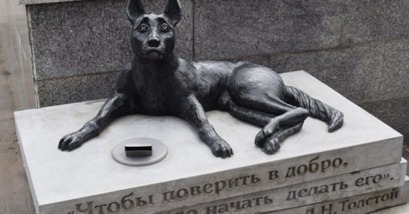 У ЦУМа в Кирове открыли памятник-копилку бездомным животным