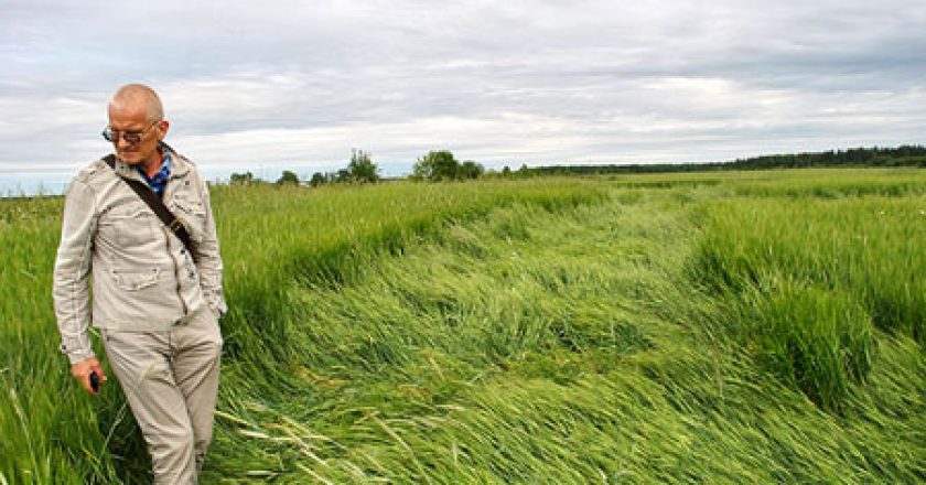 В Кировской области обнаружили круги на полях