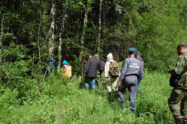  В лесу в Юрьянском районе Кировской области заблудился 67-летний грибник