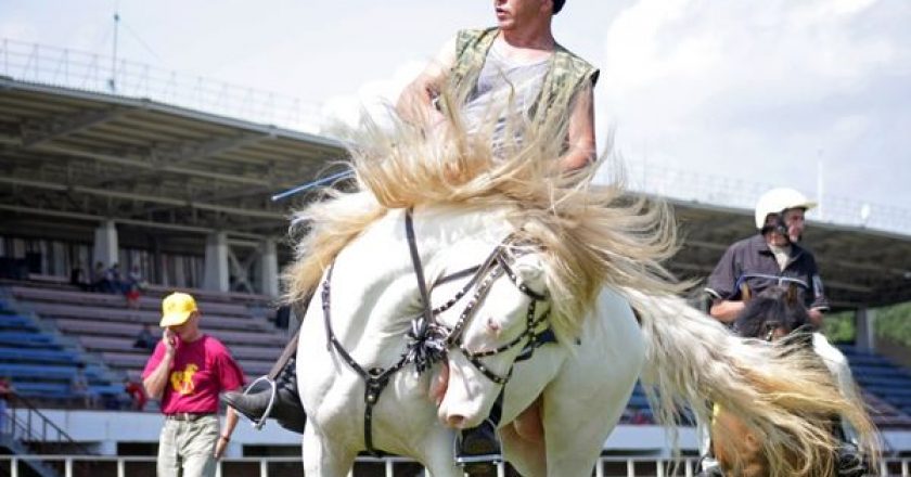 В Кирово-Чепецком районе Кировской области пройдет фестиваль вятских лошадей