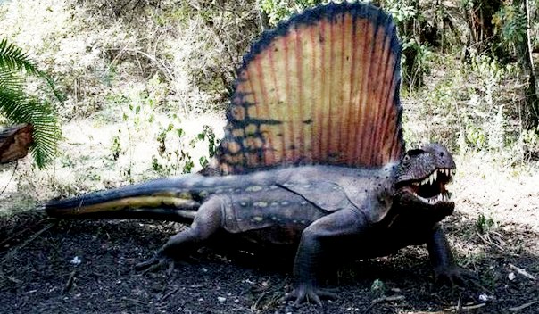 В Котельничском Динопарке появятся новый динозавр за 1,6 млн рублей