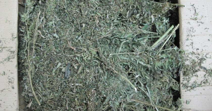 Житель Яранска хранил дома 2,6 кг марихуаны