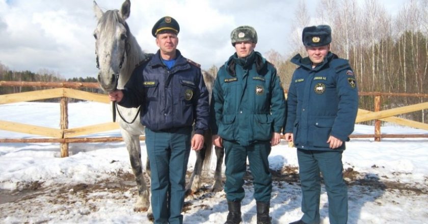 В Советске сотрудники МЧС пересели на лошадей