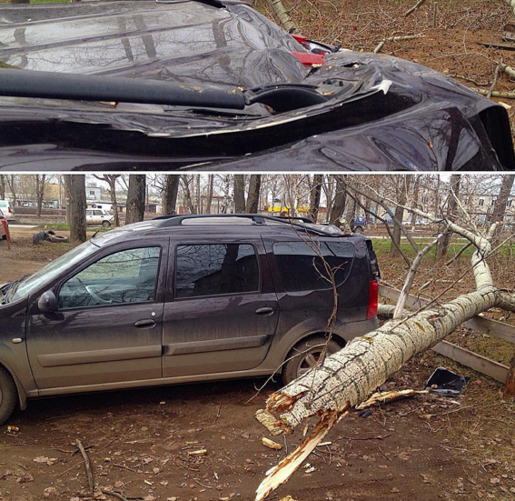 Ураган в Кирове повалил деревья, забор и сорвал крышу с остановки