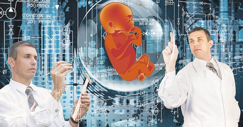 Ученые впервые вырастили в пробирке двухнедельный человеческий эмбрион