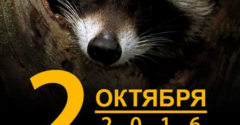 В Кирове пройдет пикет против одежды из животного меха