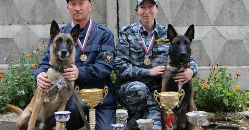 Кировские кинологи стали чемпионами на Кубке России по служебному собаководству