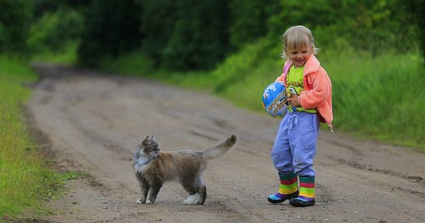 Исследование: лучшими друзьями детей являются домашние животные