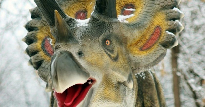 В Кировской области появится брендовый турмаршрут «Динозавры на Вятке»