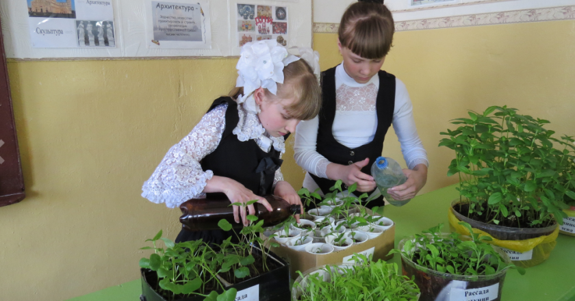 Школы Куменского района получили семена от Союза садоводов России