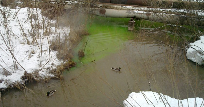В Кирове позеленела вода в реке