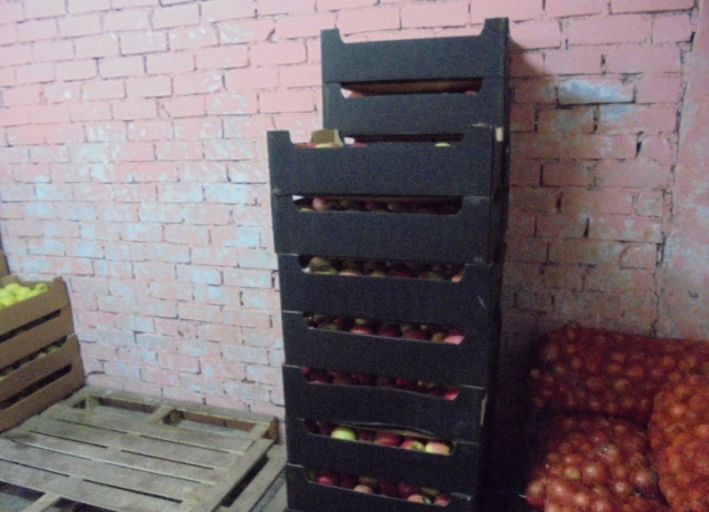 В Кирове уничтожили 234 кг польских яблок