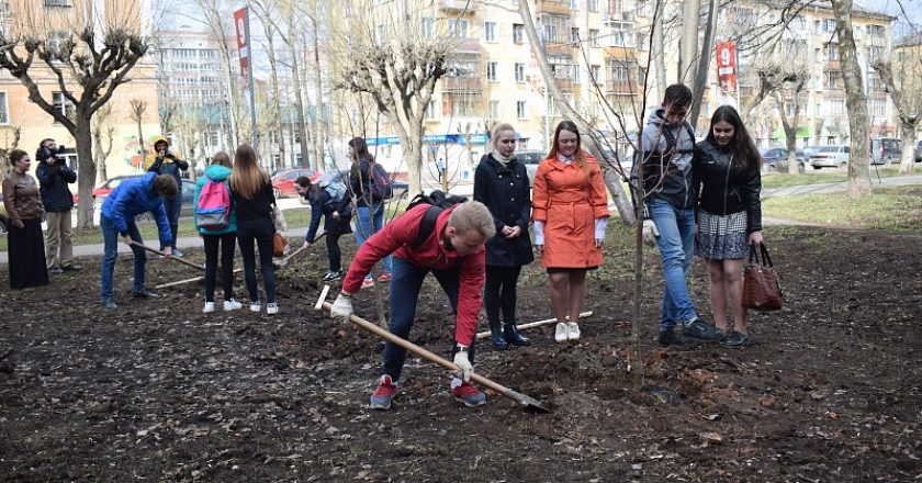 В Кирове сотрудники библиотек посадят литературную аллею