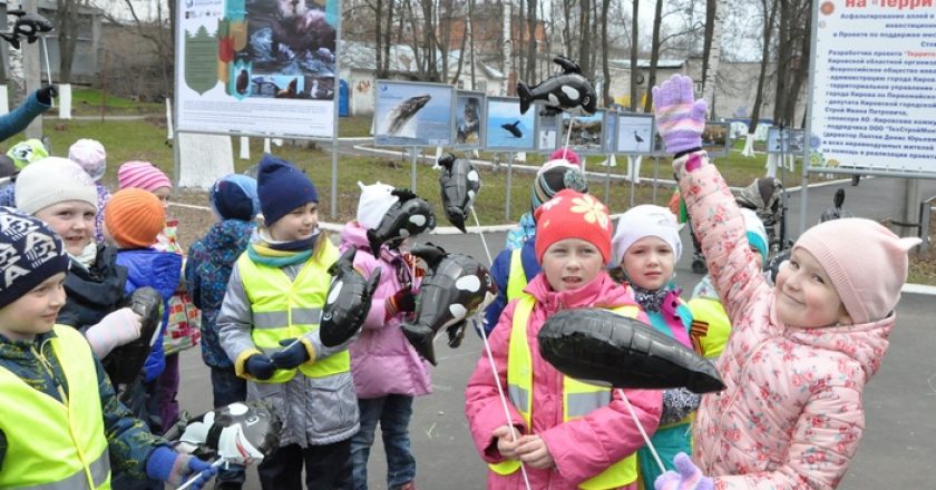 В Кирове появились животные c Командорских островов