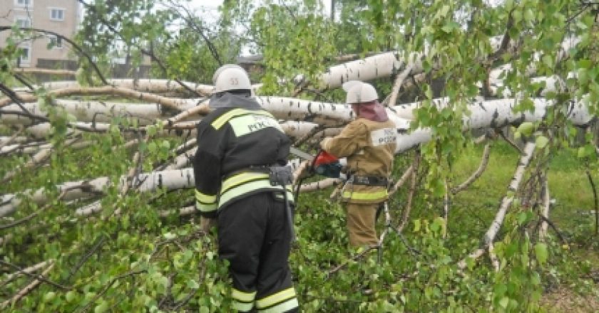 Стихия оставила без света около 15 тыс. жителей Кировской области