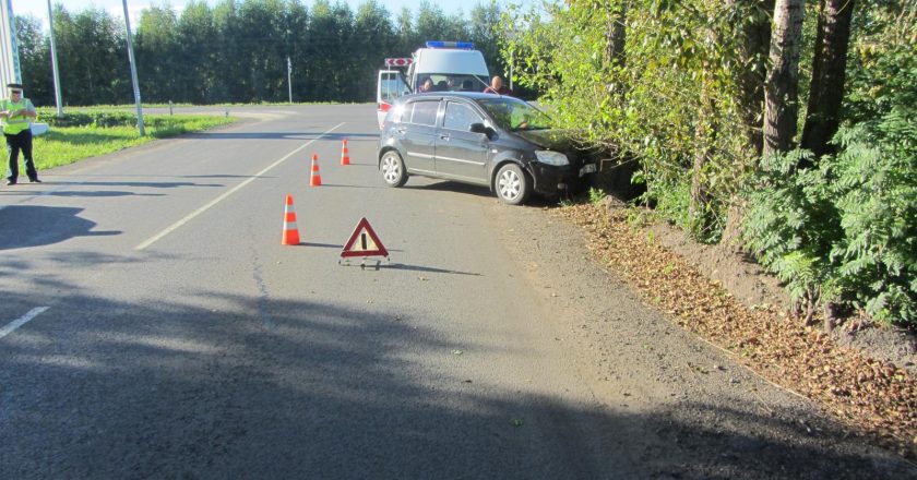 В Кирове автоледи въехала в дерево, пострадали двухлетние дети