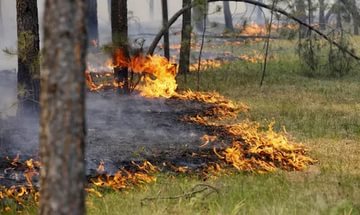 МЧС предупреждает о высокой пожарной опасности в Кировской области