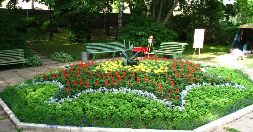 Обновленный Ботанический сад отметит свое 105-летие в режиме non-stop‍