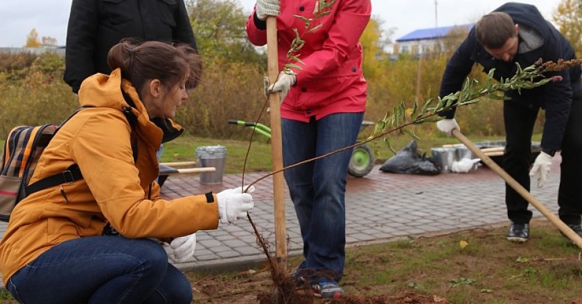 В Чистых Прудах в новом парке высадили 100 деревьев и кустарников
