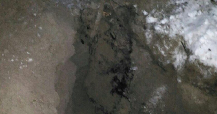 В Кировской области на берегу реки нашли скелет убитого мужчины