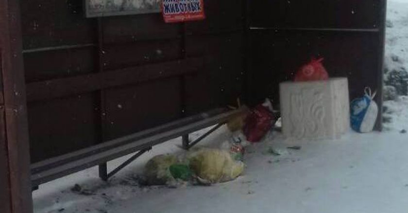 Ещё одну остановку в Кирове жители города превратили в свалку мусора