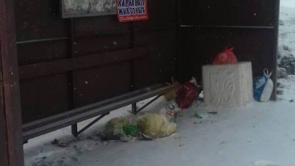 Ещё одну остановку в Кирове жители города превратили в свалку мусора